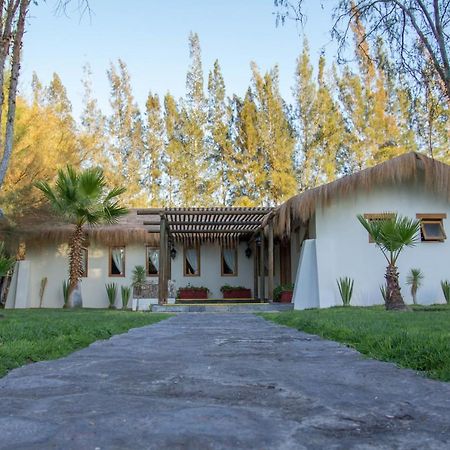 Cabanas La Huayca - Caja Los Andes Pica Luaran gambar